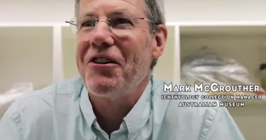 and its appearance has gone viral on the Internet. and its appearance has gone viral on the Internet.