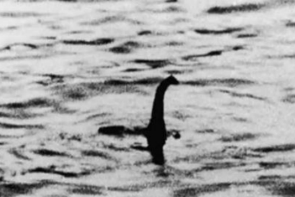 Top 10 Mysterious Creatures Spotted Worldwide: Unveiled! (No.1 Will Make You Scream)