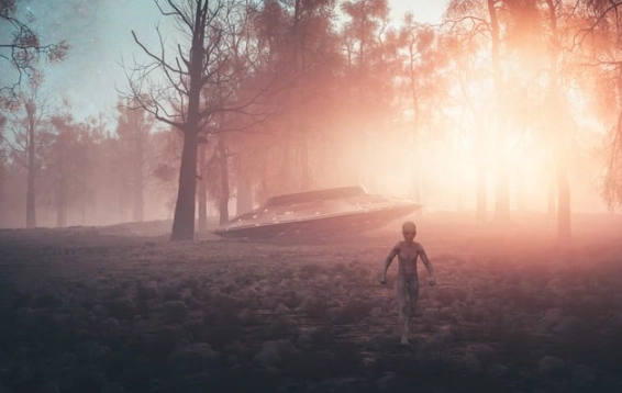 Shocking Evidence: 10 UFO Crash Cover-Ups That Actually Happened. Shocking Evidence: 10 UFO Crash Cover-Ups That Actually Happened.